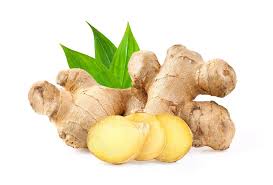 Ginger